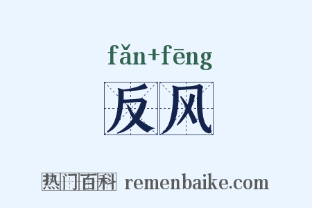 反风是什么意思的图片
